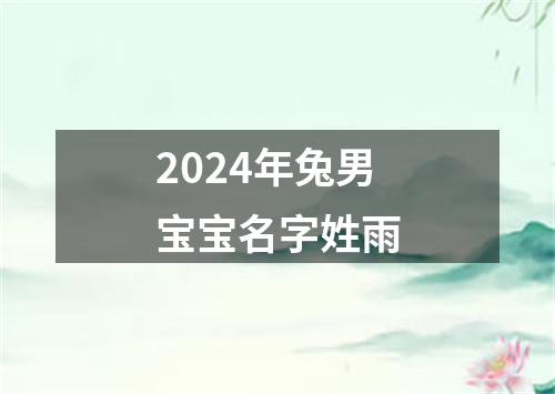 2024年兔男宝宝名字姓雨