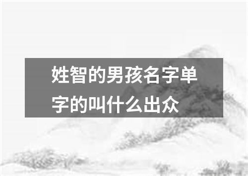 姓智的男孩名字单字的叫什么出众