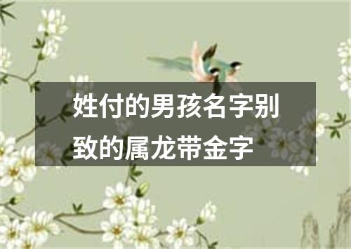 姓付的男孩名字别致的属龙带金字