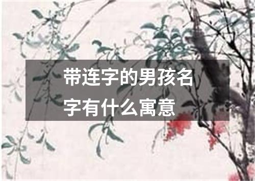 带连字的男孩名字有什么寓意