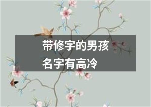 带修字的男孩名字有高冷