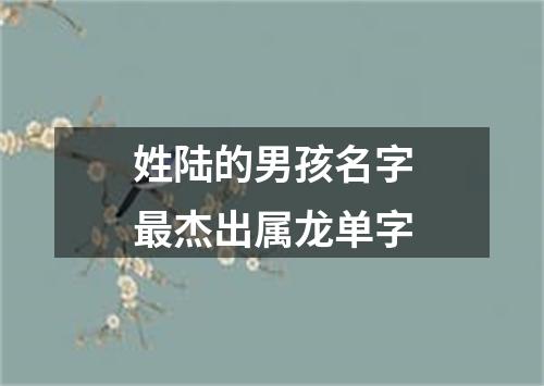 姓陆的男孩名字最杰出属龙单字