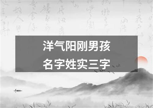 洋气阳刚男孩名字姓实三字