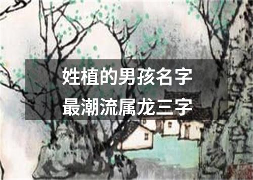 姓植的男孩名字最潮流属龙三字