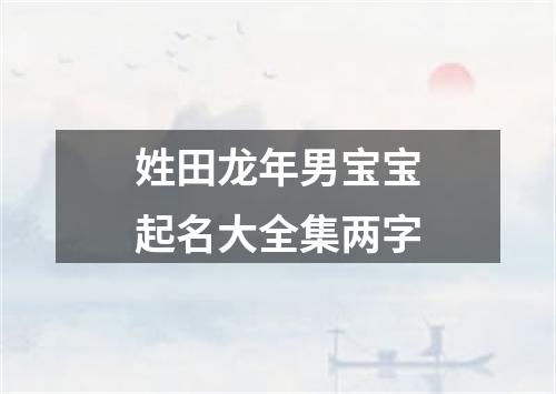 姓田龙年男宝宝起名大全集两字