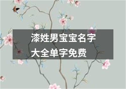 漆姓男宝宝名字大全单字免费