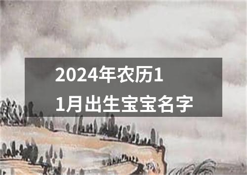 2024年农历11月出生宝宝名字