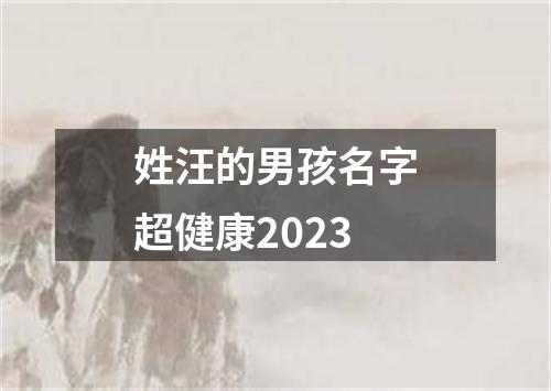 姓汪的男孩名字超健康2023