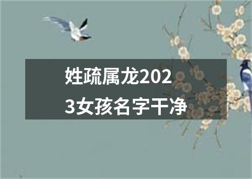 姓疏属龙2023女孩名字干净