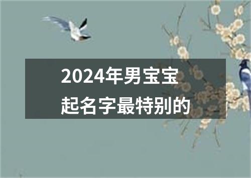 2024年男宝宝起名字最特别的