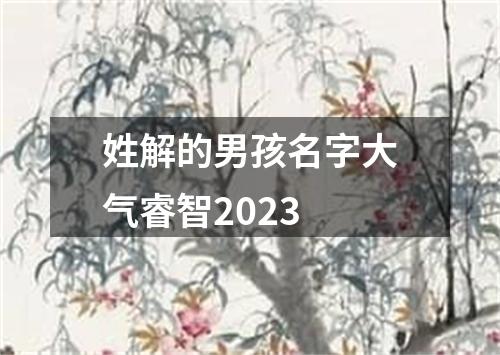 姓解的男孩名字大气睿智2023