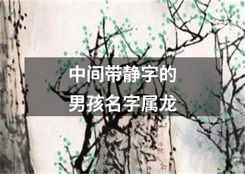 中间带静字的男孩名字属龙