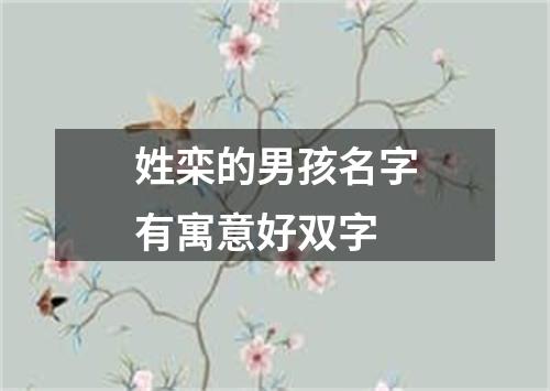 姓栾的男孩名字有寓意好双字