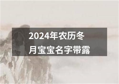 2024年农历冬月宝宝名字带露