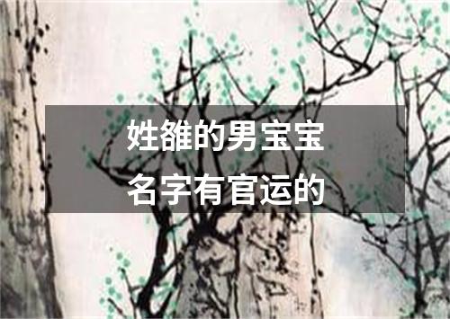 姓雒的男宝宝名字有官运的