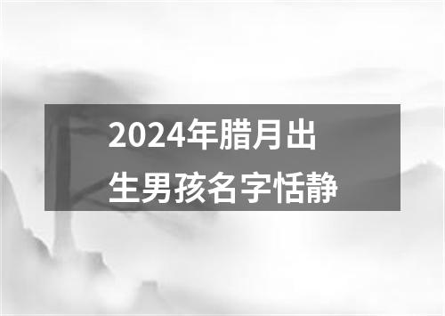 2024年腊月出生男孩名字恬静