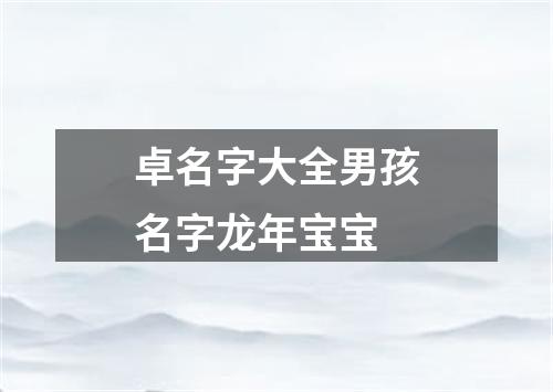 卓名字大全男孩名字龙年宝宝