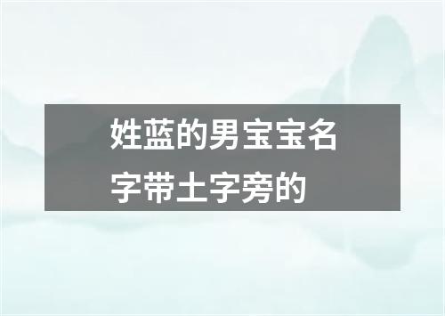 姓蓝的男宝宝名字带土字旁的