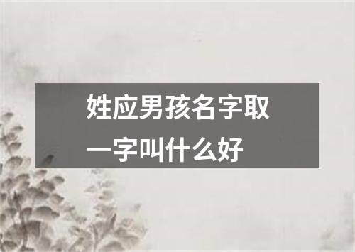 姓应男孩名字取一字叫什么好