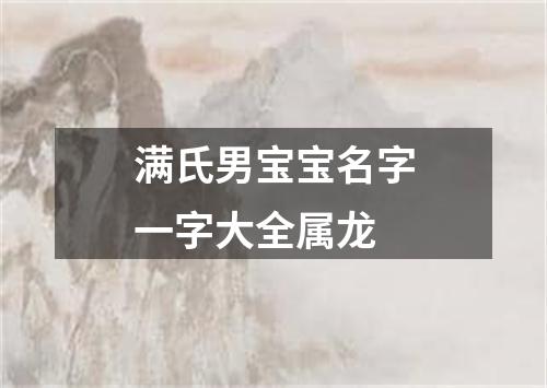 满氏男宝宝名字一字大全属龙