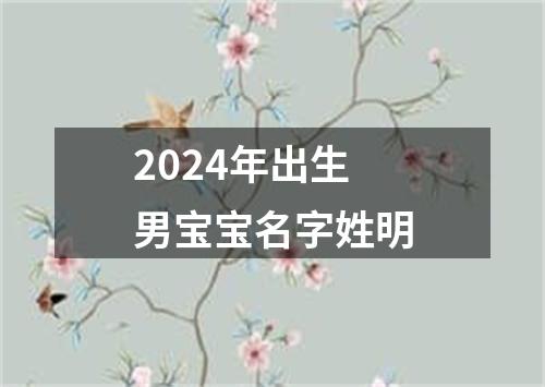 2024年出生男宝宝名字姓明