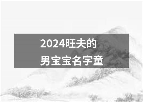 2024旺夫的男宝宝名字童