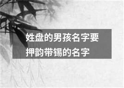 姓盘的男孩名字要押韵带锡的名字