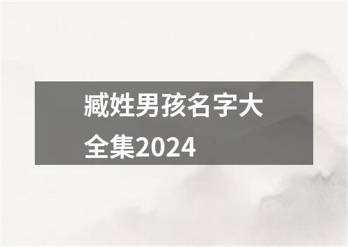 臧姓男孩名字大全集2024