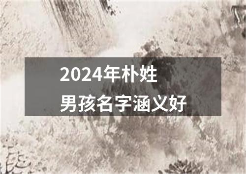 2024年朴姓男孩名字涵义好