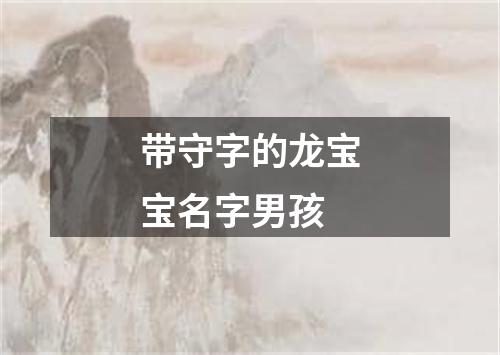 带守字的龙宝宝名字男孩