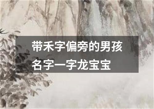 带禾字偏旁的男孩名字一字龙宝宝