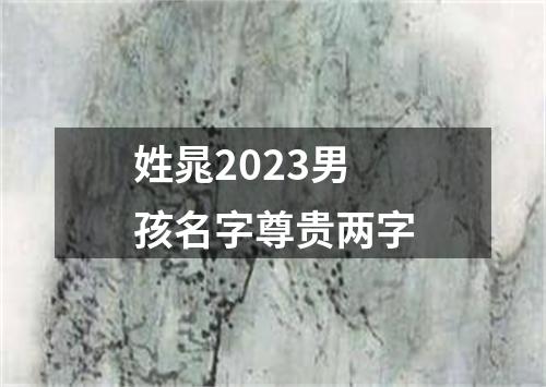 姓晁2023男孩名字尊贵两字