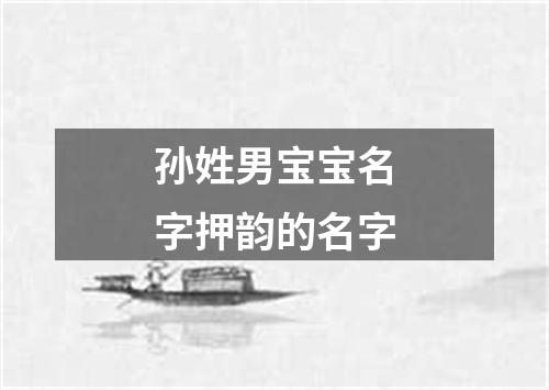 孙姓男宝宝名字押韵的名字