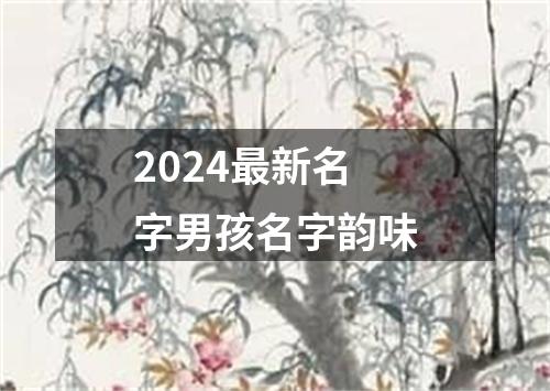 2024最新名字男孩名字韵味