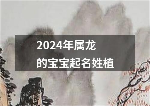 2024年属龙的宝宝起名姓植