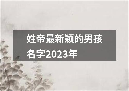 姓帝最新颖的男孩名字2023年