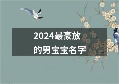 2024最豪放的男宝宝名字