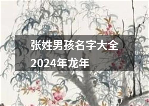 张姓男孩名字大全2024年龙年