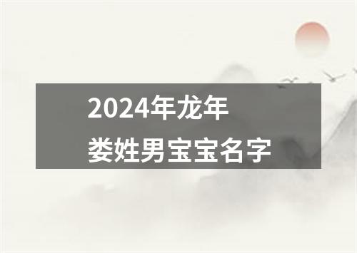 2024年龙年娄姓男宝宝名字