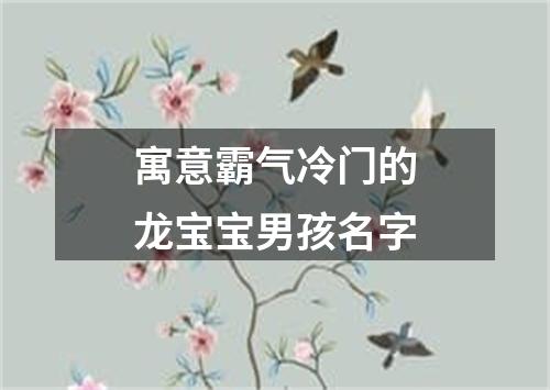 寓意霸气冷门的龙宝宝男孩名字