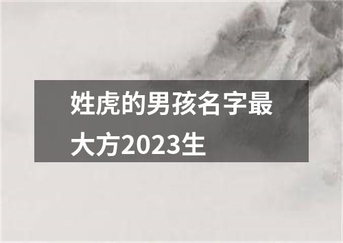 姓虎的男孩名字最大方2023生