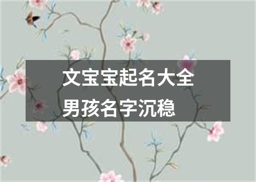 文宝宝起名大全男孩名字沉稳