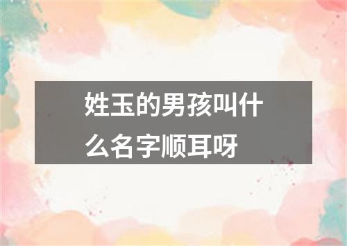 姓玉的男孩叫什么名字顺耳呀