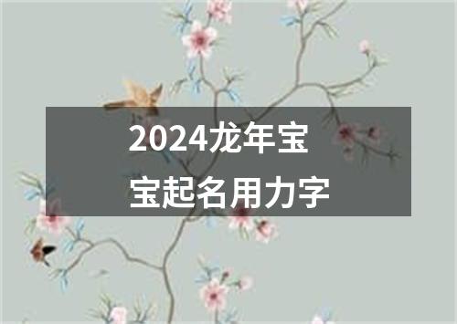 2024龙年宝宝起名用力字