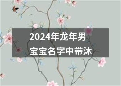 2024年龙年男宝宝名字中带沐