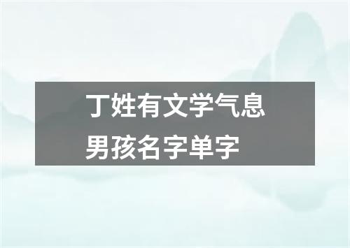 丁姓有文学气息男孩名字单字