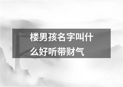 楼男孩名字叫什么好听带财气