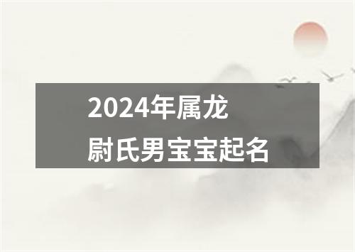 2024年属龙尉氏男宝宝起名