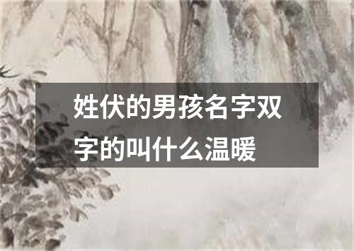 姓伏的男孩名字双字的叫什么温暖