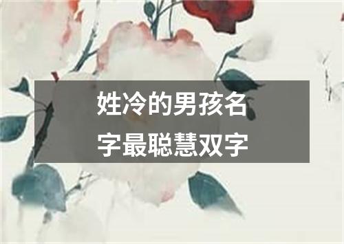 姓冷的男孩名字最聪慧双字